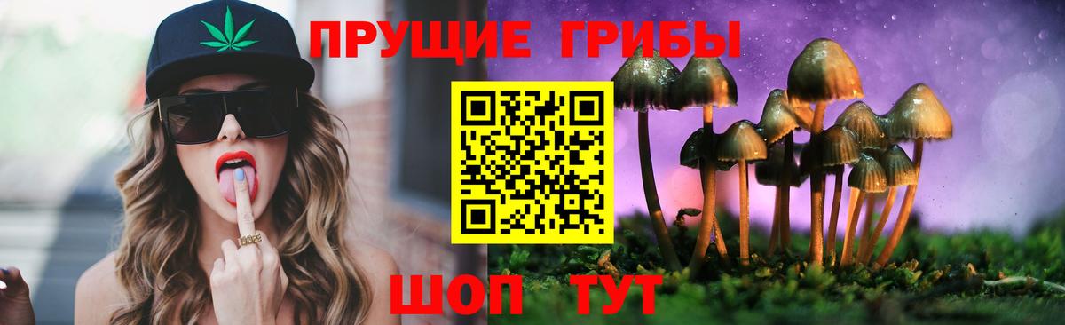 Псилоцибиновые грибы Psilocybe  Вход с VPN  Галлюциногенные грибы GOLDEN TEACHER  Шарыпово 
